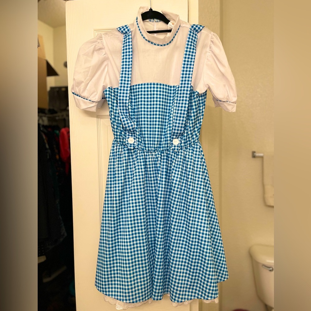 Wizard of Oz costume